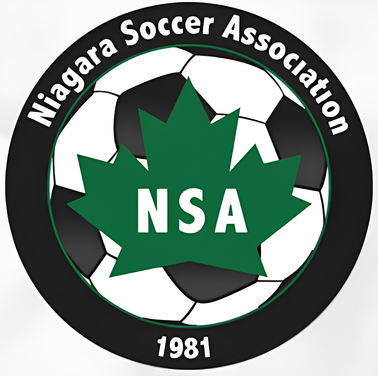 NSA Logo